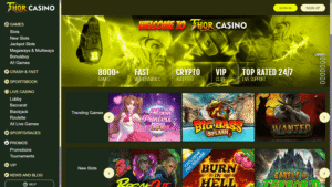 Thor casino avis : ce que vous devez vérifier avant de vous inscrire